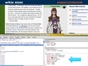 Advanced Customization Webinar Slide33