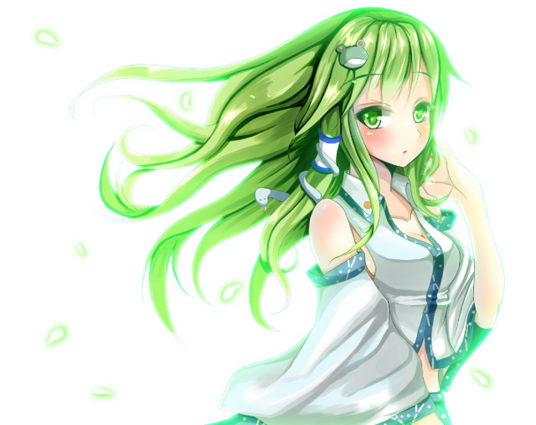 File:Green ninja.png