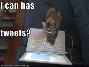 Social media webinar Slide07