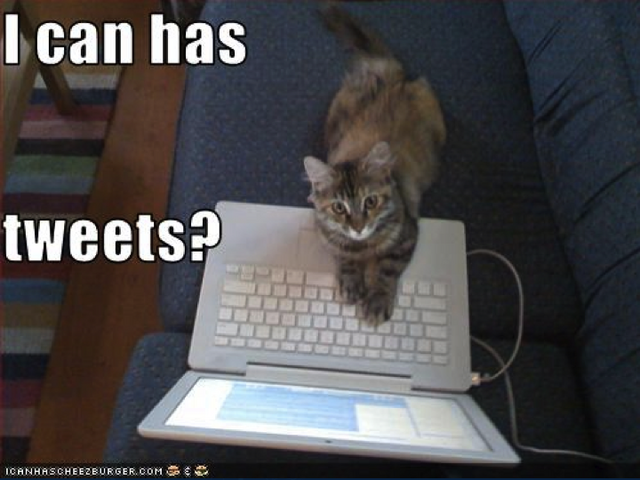 File:Social media webinar Slide07.png