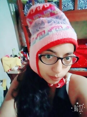 File:B612 20161103 202636.jpg