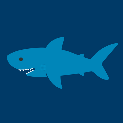 File:Shark Profile.png