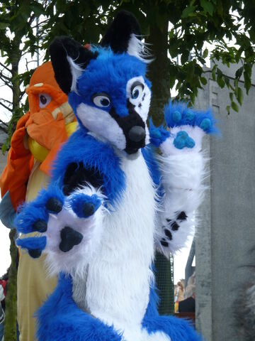File:Blue fursuit by paulsky1-d3hrect.jpg