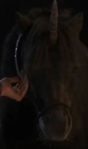File:Unicorno.jpg