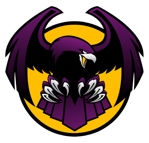 File:Newjerseybayhawks logo03.png