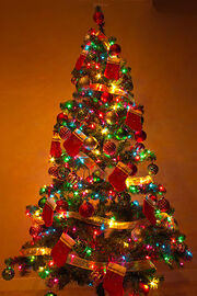 300px-Y Christmas Tree 2