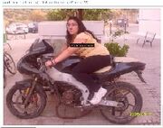 Dterron icono.jpg