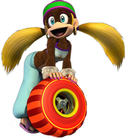 TinyKongDKDS