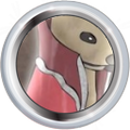 Thumbnail for version as of 00:12, December 23, 2010