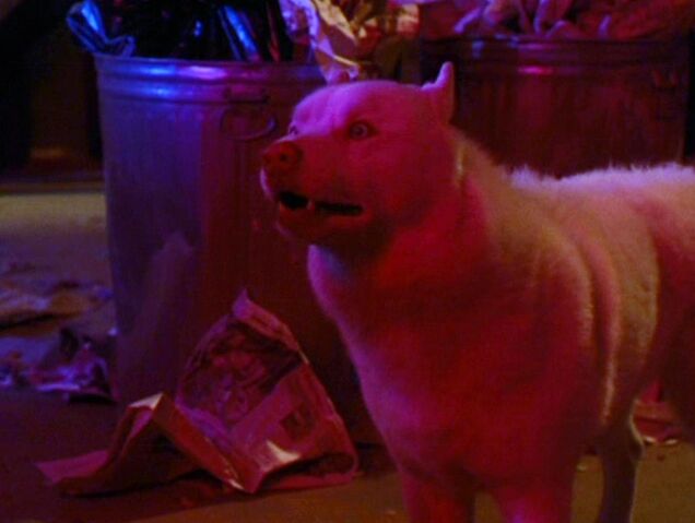 File:Banshee PrueBarks.jpg