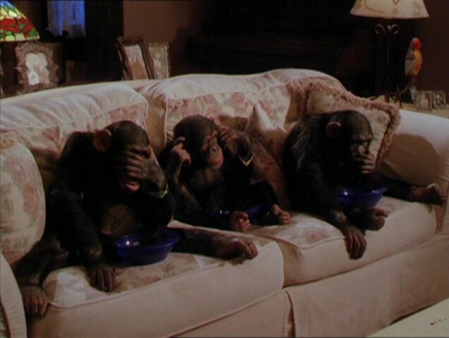 File:MonkeyTrick.jpg