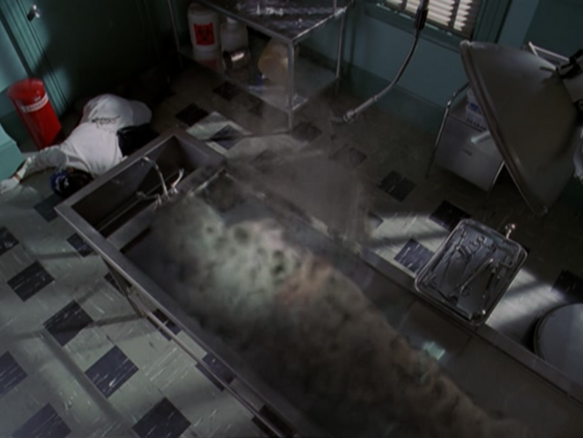 File:5x10P3.png
