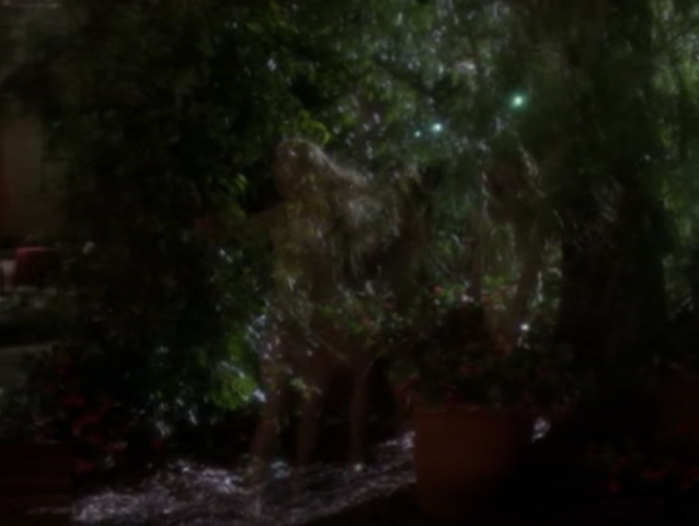 File:5x19P21.png