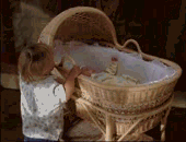 WyattSteals.gif