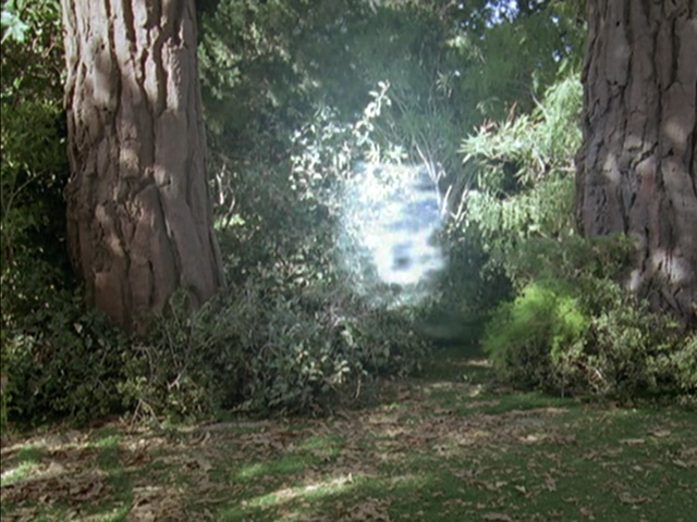 File:5x16P11.png