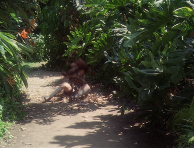 File:6x02P26.png