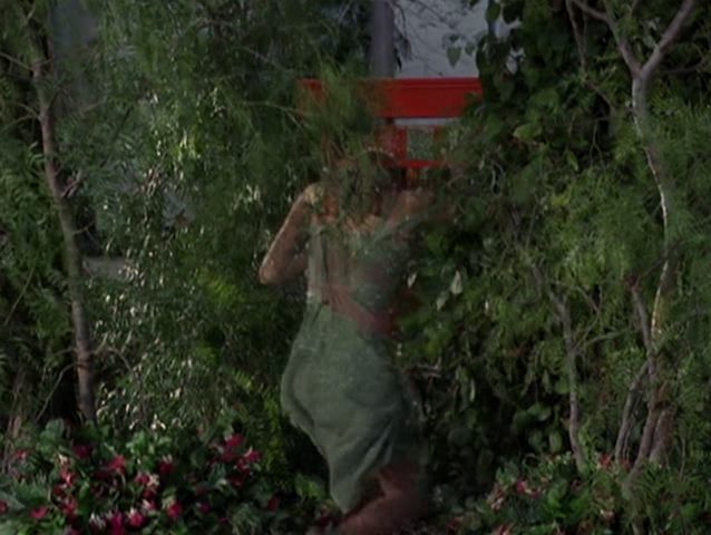 File:5x19P8.png