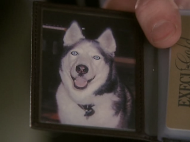 File:5x16-11.png