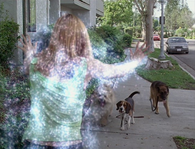 File:6x01P8.png