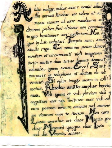 File:LatinNellScan1.jpg