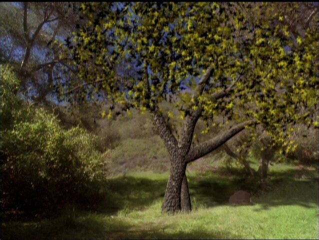 File:5x19-Spell.jpg
