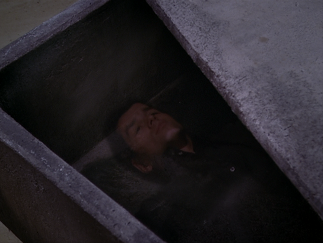 File:8x14P18.png