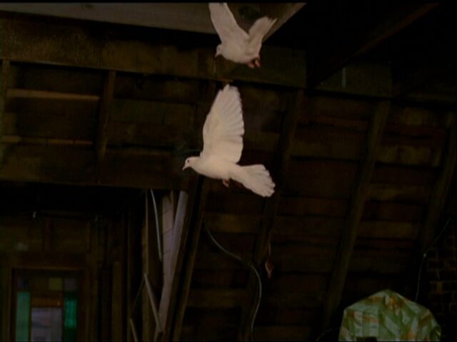 File:5x07-Paige-ACS-Works-4.jpg