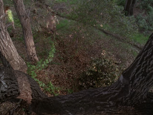 File:5x19-35.png