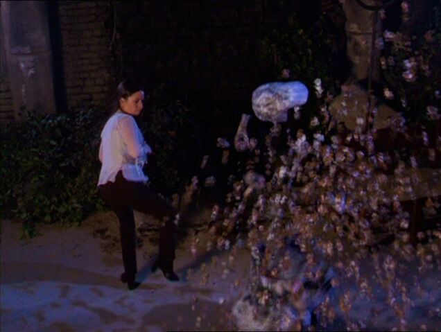 File:Charmed313 776.jpg