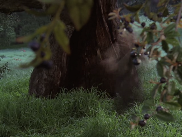 File:5x17P25.png