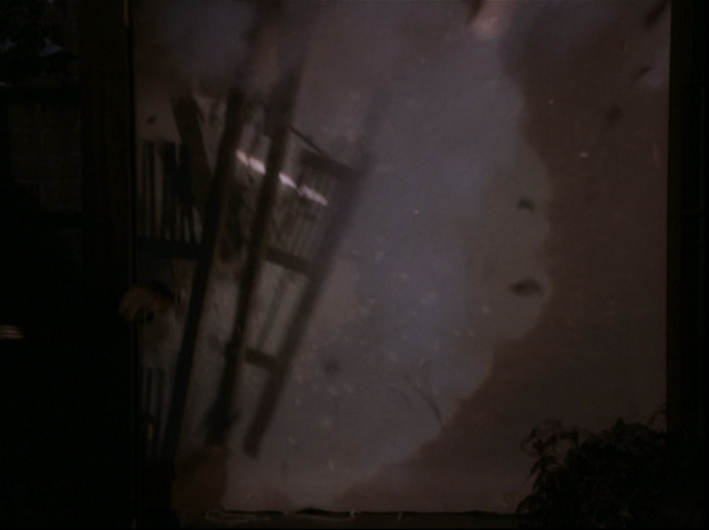 File:8x21P44.png