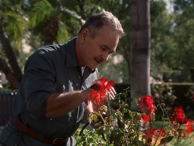 File:8x07P4.png