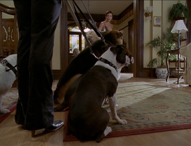File:6x01-11.png