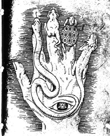 File:HandOfFatimaScan.jpg