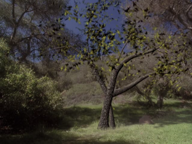 File:5x19SpellTree.png