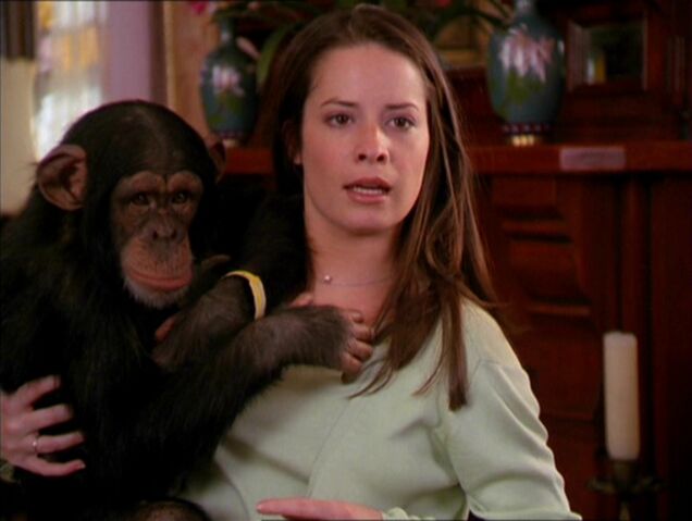 File:B ringmonkies.jpg
