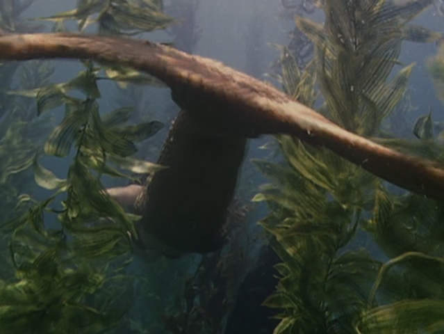 File:5x02-1.png