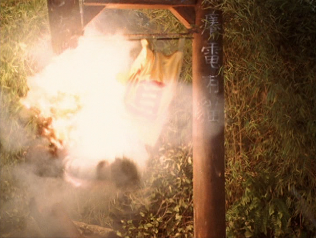 File:8x14P51.png
