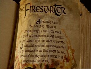 BOS FIRESTARTER