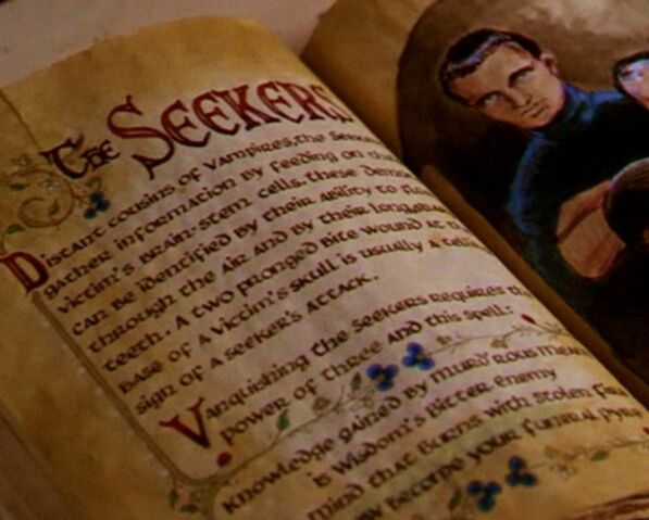 File:Seeker 1.jpg