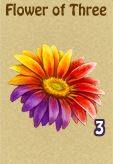 Flower of 3