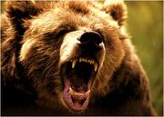 Growl 2