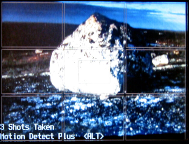 File:1.motionP in action.jpg