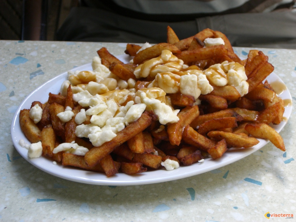 Best Dog Food Made In Canada Best Dog Food Made In Canada