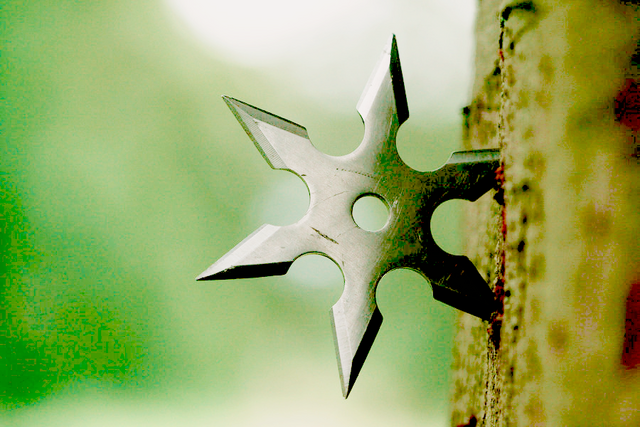 File:Wikia japan2.png