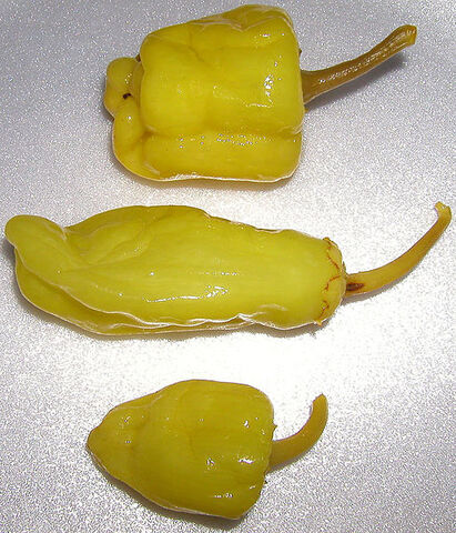 File:514px-Pepperoncini.jpg