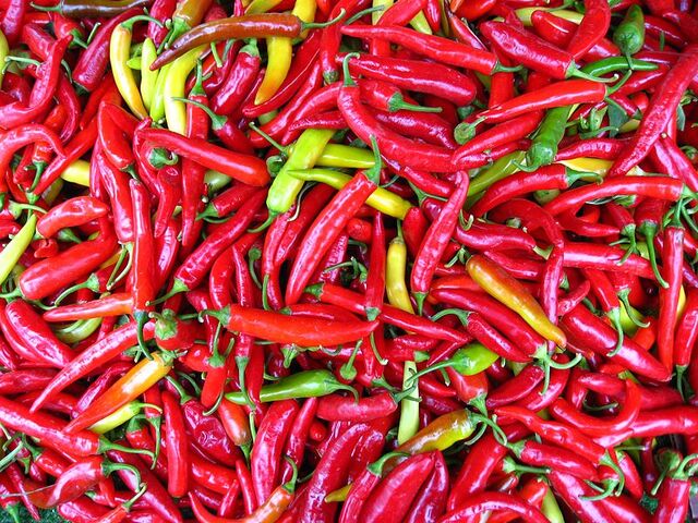 File:Capsicum frutescens.jpg