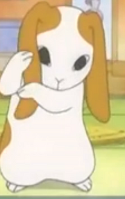Mi chan