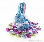 Chcolate blue bunny