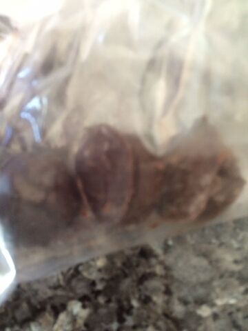 File:Chocolate peanut butter balls.jpeg